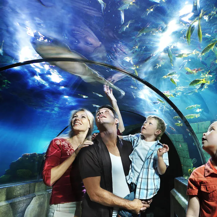LEGOLAND ATLANTIS by Sea Life Podvodní svet