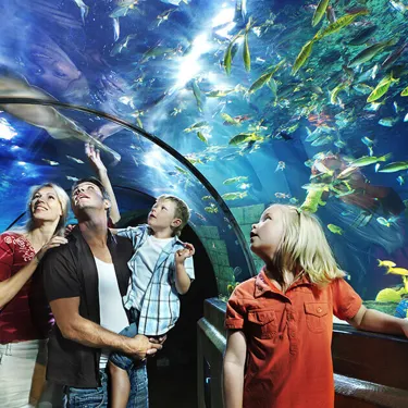 LEGOLAND Deutschland Aquarium
